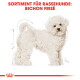 Illustration eines Bichon Frisé Hundes mit flauschigem weißen Fell, begleitet von dem Text "SORTIMENT FÜR RASSEHUNDE: BICHON FRISÉ" oben.