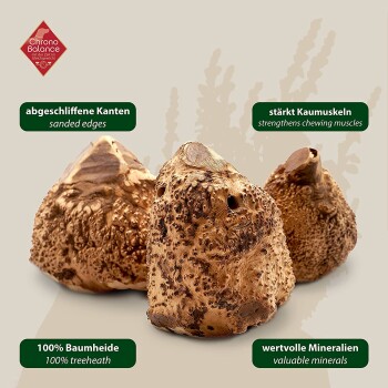 Drei strukturierte, natürliche Holzkausn für Haustiere, beschriftet mit Vorteilen: "sandige Kanten", "stärkt die Kaumuskeln" und "100% Baumgesundheit."