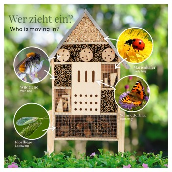 Ein hölzernes Insektenhotel in Form eines Hauses mit Fächern für Bienen, Marienkäfer, Schmetterlinge und Florfliegen. Text: "Wer zieht ein?"