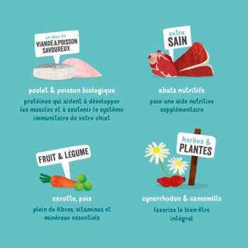 Image des ingrédients de la nourriture pour animaux : poulet bio, poisson, abats, fruits, légumes (carottes, pois) et herbes bénéfiques (églantier, camomille).