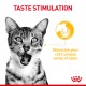 Close-up of a playful tabby cat with an open mouth, featuring "TASTE STIMULATION" text and food graphic for flavor enhancement.