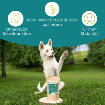 Gelenk Tabs für Hunde: Flasche mit Hundillustration, natürliche Zutaten wie Ingwer und Hagebutten, beschriftet mit "100% natürliche Inhaltsstoffe."
