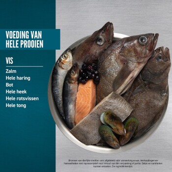 Een kom met hele zalm, haring, platvis, mosselen en bosbessen, met Nederlandse tekst over vissoorten en voeding.