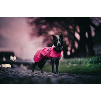 Ein schwarzer und grauer Hund, der einen leuchtend pinken Regenmantel trägt, steht auf einem Kopfsteinpflasterweg, mit einem verschwommenen Hintergrund aus Bäumen und einem dämmerigen Himmel.
