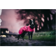 Ein schwarzer und grauer Hund, der einen leuchtend pinken Regenmantel trägt, steht auf einem Kopfsteinpflasterweg, mit einem verschwommenen Hintergrund aus Bäumen und einem dämmerigen Himmel.