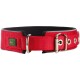 Rotes Hundehalsband mit gepolstertem Innenraum, Metallschnalle und D-Ring zur Leinenbefestigung, mit kleinem "Hunter"-Logo.