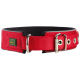 Rotes Hundehalsband mit gepolstertem Innenraum, Metallschnalle und D-Ring zur Leinenbefestigung, mit kleinem "Hunter"-Logo.