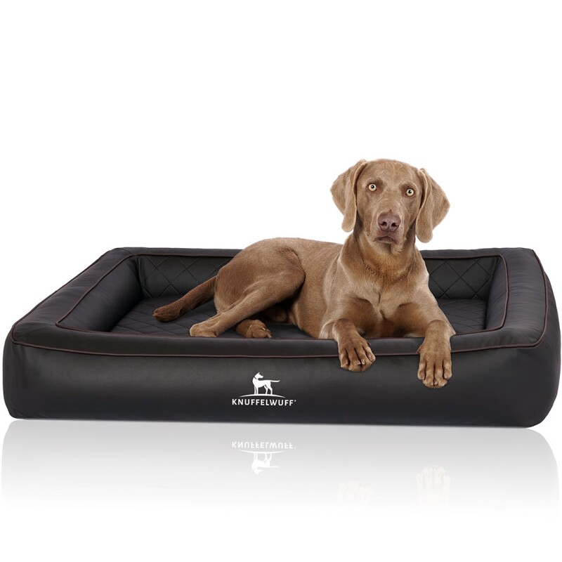 Knuffelwuff Orthopädisches Hundebett aus Laser gestepptem Kunstleder Hampstead schwarz M-L