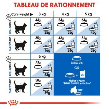 Tableau détaillant les directives d'alimentation pour les chats en fonction de leur poids, montrant les catégories idéales et en surpoids, avec des recommandations spécifiques pour les croquettes et les sachets.
