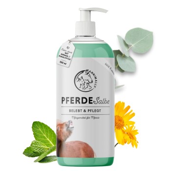 Pferdesalbe 500 ml