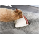 Een ontspannen oranje kat die zijn hoofd op een klein, sandwichvormig kussen legt, liggend op een fluffy grijs tapijt.