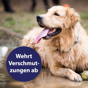 Golden Retriever in einer schlammigen Pfütze mit einem Tennisball, die Zunge hängt raus; blauer Kreis mit "Wehrt Verschmutzungen ab".