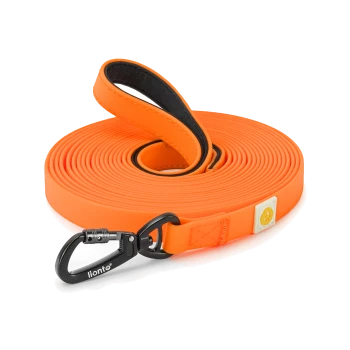 Oranges Hundeleinen mit schwarzem gepolstertem Griff und schwarzem Metallclip mit der Aufschrift "lionto" auf weißem Hintergrund.