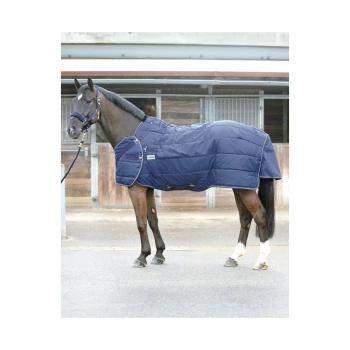 Ein schwarzes Pferd, das eine marineblaue gepolsterte Decke trägt, steht in einem Stallbereich, mit sichtbaren Holzboxen im Hintergrund.