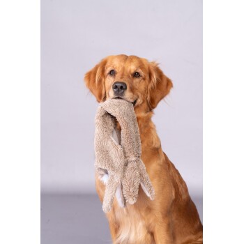 Meilleurs prix pour FIT+FUN Jouet Lapin Sautillant 50cm