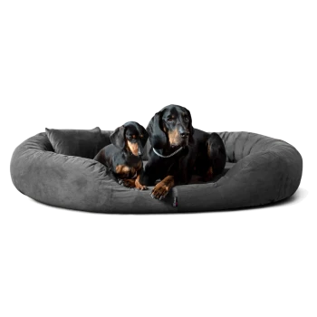 Zwei schwarz-braune Dackel liegen auf einem großen grauen Plüsch-Hundebett mit kleinem Kissen.