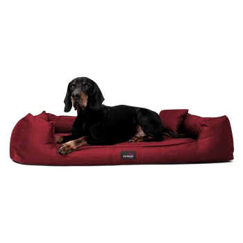 Ein grauer Hund sitzt auf einem plüschigen burgunderfarbenen Hundebett, mit einer grafischen Überlagerung, die "INKLUSIVE" und "MATRATZENSCHONER GIBT'S OBENRAUF" angibt.
