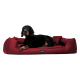 Ein grauer Hund sitzt auf einem plüschigen burgunderfarbenen Hundebett, mit einer grafischen Überlagerung, die "INKLUSIVE" und "MATRATZENSCHONER GIBT'S OBENRAUF" angibt.
