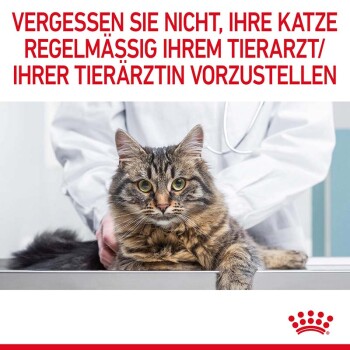 Eine getigerte Katze auf einem Tierarzt-Tisch, sanft von einem Tierarzt gehalten, mit verschwommenem Hintergrund und fettgedrucktem roten Text, der zu regelmäßigen Tierarztbesuchen auffordert.