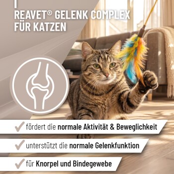 Eine klare Glasschüssel gefüllt mit weißem Pulver, begleitet von einem kleinen weißen Messlöffel, der daneben liegt.