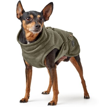 Ein kleiner, braun-schwarzer Hund trägt eine gemütliche olivgrüne Weste und steht selbstbewusst mit aufgerichteten Ohren.