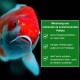 Nahaufnahme eines lebhaften orange-weißen Koi-Fisches mit einer grünen Box auf der rechten Seite, die die Vorteile von Fischfutter auf Deutsch beschreibt.