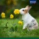 Ein süßer Hase schnüffelt an leuchtend gelben Blumen auf einer grasbewachsenen Wiese, mit dem Vitakraft-Logo in der oberen rechten Ecke.