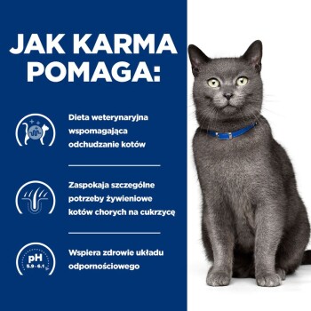 Szary kot z zielonymi oczami i niebieską obrożą siedzi na niebieskim tle, podkreślając korzyści diety weterynaryjnej dla kotów z cukrzycą.