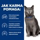 Szary kot z zielonymi oczami i niebieską obrożą siedzi na niebieskim tle, podkreślając korzyści diety weterynaryjnej dla kotów z cukrzycą.