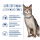 Un chat en bonne santé avec un collier bleu se tient à côté d'un texte listant les avantages : soutient la fonction rénale, stimule l'appétit et maintient la masse musculaire.