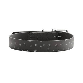 Schwarzes Haustierhalsband mit silbernem Sternmuster und einer Metallschnalle, auf einem weißen Hintergrund präsentiert.