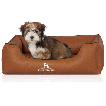 Ein kleiner, flauschiger Hund sitzt bequem in einem stilvollen braunen Haustierbett mit dem Logo "KNUFFELWUFF", das prominent auf der Vorderseite angezeigt wird.