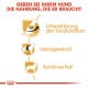 Bild, das die Vorteile von Hundefutter bewirbt, mit Symbolen und Text: "Unterstützung der Herzfunktion," "Idealgewicht," "Schönes Fell."