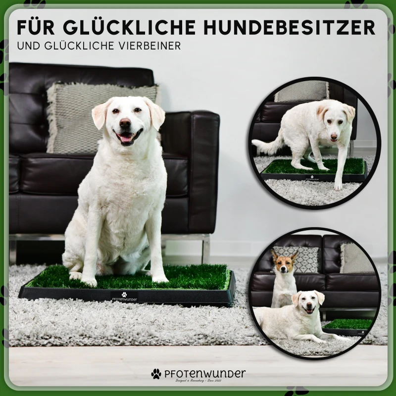 PfotenWunder® Hundeklo XXL 76*51cm, 2 Easy-Wash-Rasen + 1 Büchlein