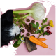 Ein schwarz-weißer Hund schnüffelt an verschütteten braunen Leckerlis aus einem grünen Behälter mit der Aufschrift "Gras & Kottresser Drops" auf einem rosa Hintergrund.