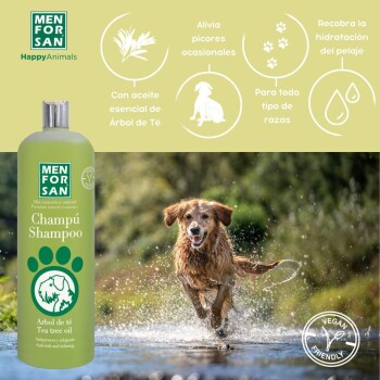 Ein glücklicher Golden Retriever plantscht im Wasser neben einer grünen Shampoo-Flasche mit der Aufschrift "Champú" mit Teebaumöl für Hydratation und Juckreizlinderung.