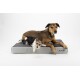 Orthop. Hundebett ArmourDillo XL