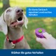 Ein glücklicher grauer Hund mit rotem Halsband schaut auf eine Hand, die einen lila Clicker hält. Text: "Klarer Klang signalisiert gutes Verhalten."