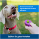 Ein glücklicher grauer Hund mit rotem Halsband schaut auf eine Hand, die einen lila Clicker hält. Text: "Klarer Klang signalisiert gutes Verhalten."