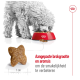 Een fluffy witte hond eet uit een rode kom met brokjes, met een stervormig stuk eronder. Tekst: "Aangepaste brokgrootte en aroma's."