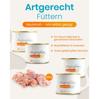 Dosen Katzenfutter und rohes Fleisch mit deutscher Überschrift 'Artgerecht Füttern' und orangefarbener Kennzeichnung '95% Fleischanteil'.