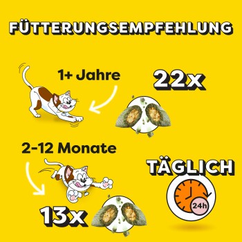 Fond jaune vif avec des recommandations d'alimentation pour les chats. Chat et chien en dessin animé ; 22 portions pour 1 an et plus, 13 pour 2-12 mois.
