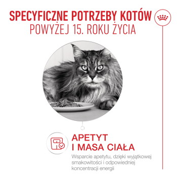 Długowłosy kot senior przy talerzu; tekst po polsku: 'Specyficzne potrzeby kotów powyżej 15 lat' oraz 'Apetyt i masa ciała'.