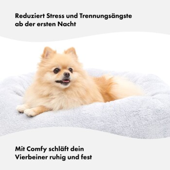 Ein flauschiger Hund auf einem hellgrauen Bett. Text: 'Reduziert Stress und Trennungsangst von der ersten Nacht.' 'Mit Comfy schläft Ihr Haustier ruhig.'