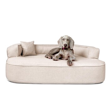 Ein beiges Hundebett mit einem plüschigen Kissen, mit einem entspannten Hund mit grauem Fell, vor einer minimalistischen Betonwand.