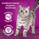 Srebrny kot tabby na drewnianej powierzchni z purpurowym tłem. Tekst: "Zweifacher Genuss," "Gesunde Vitalität," "Komplett 100%."