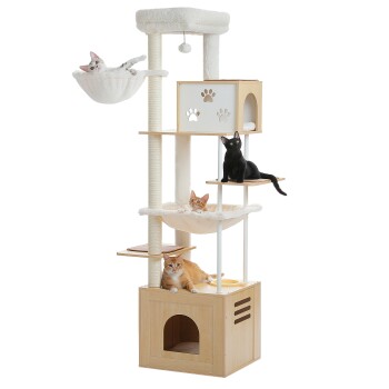 Mehrstöckiger beiger Kratzbaum mit fünf Katzen verschiedener Farben, die auf Plattformen und Höhlen liegen und spielen.