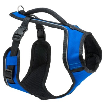 EasySport Hundegeschirr blau S
