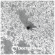 Nahaufnahme eines weichen grauen Stoffes mit einem kleinen schwarzen Punkt, auf dem das Logo 'Doctor Bark' prominent am unteren Rand zu sehen ist.