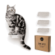 Eine getigerte Katze sitzt auf einem kleinen weißen Regal, das an einer Wand montiert ist, mit zwei zusätzlichen grauen Plattformen darunter vor einem weißen Hintergrund.